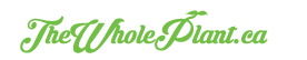 The Whole Plant Logo